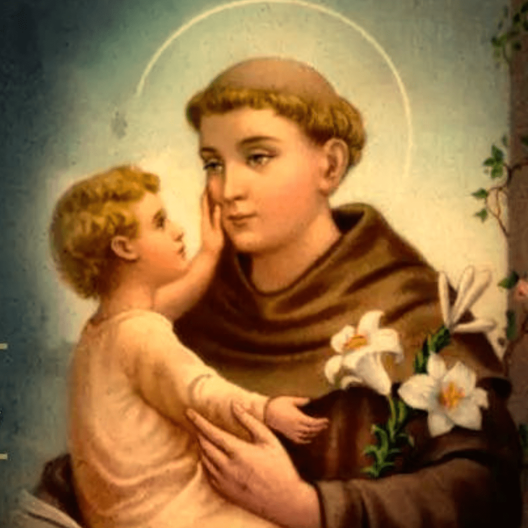 santo de hoy