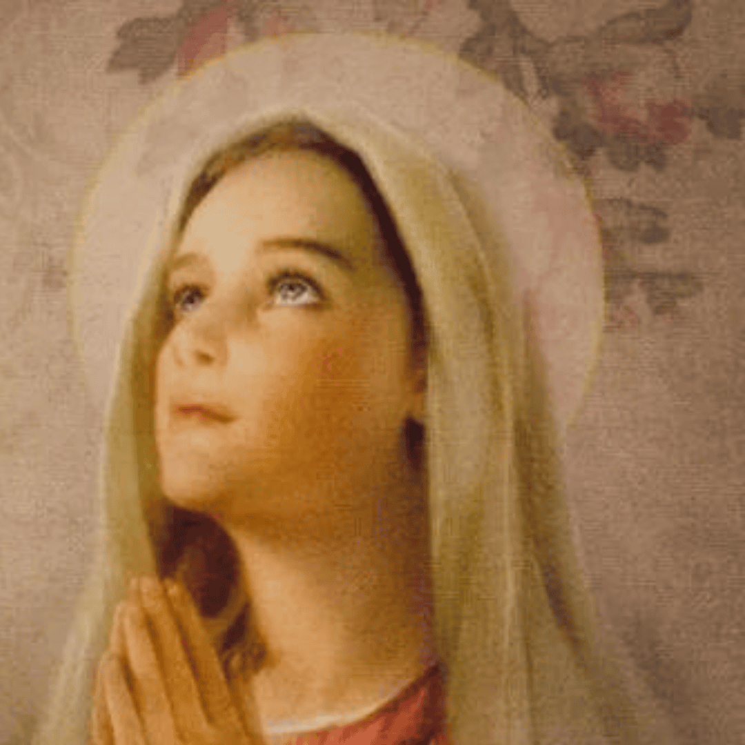 Natividad de la Virgen María